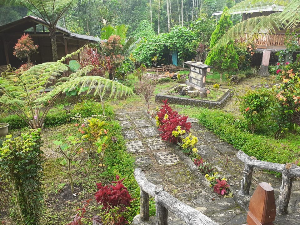 Garden, Garden view