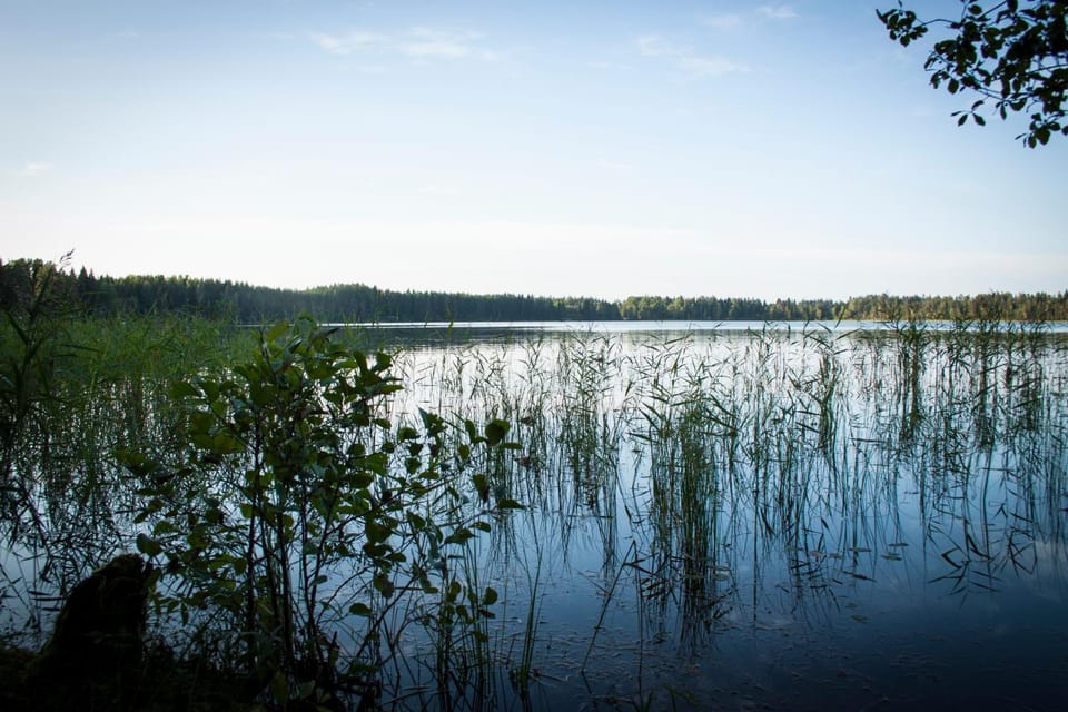 Lake view