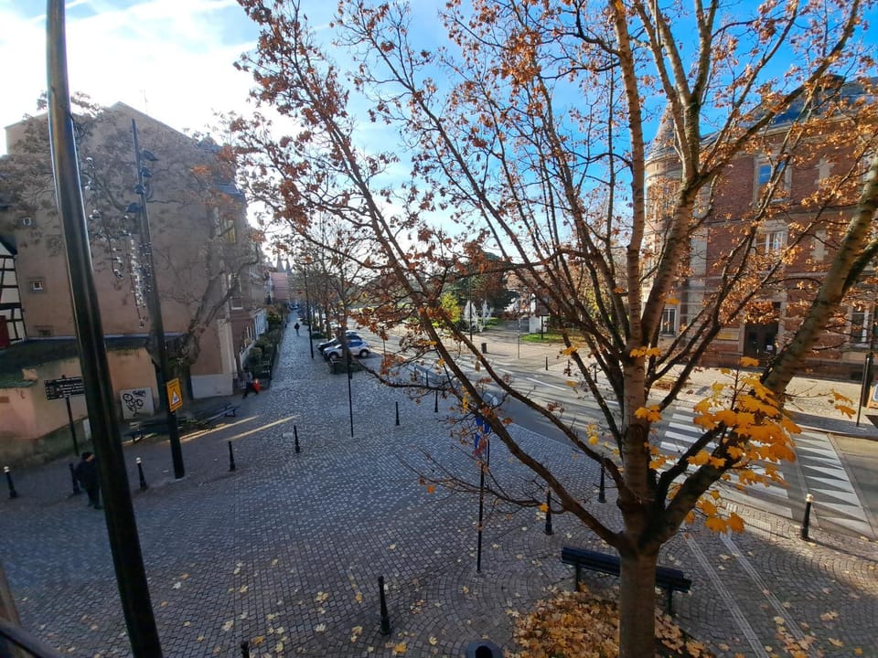 Landmark view