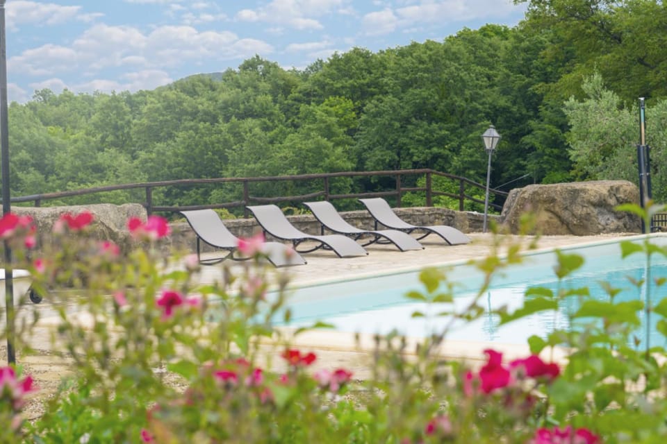 View (from property/room), Garden view, Swimming pool