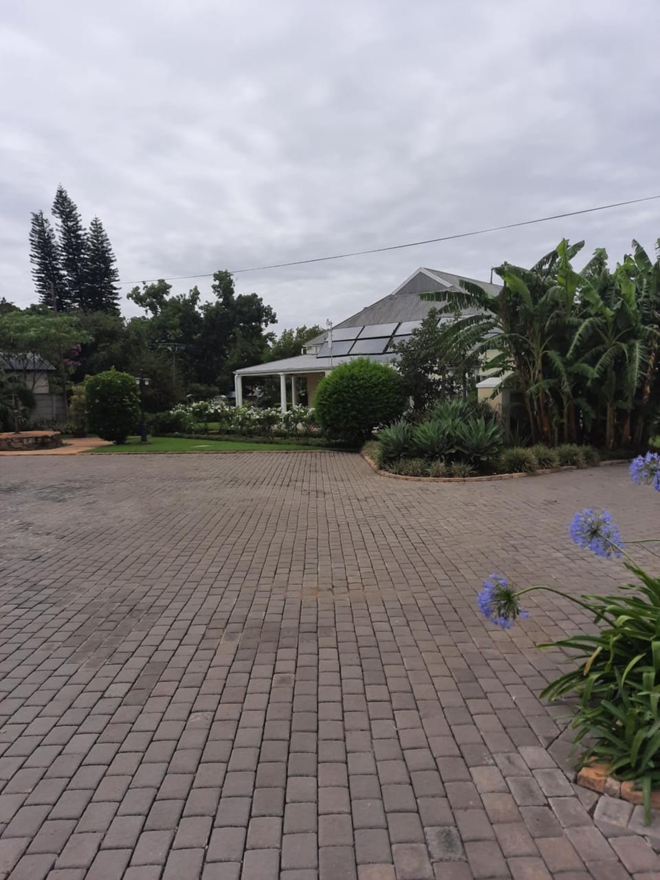Property building, Garden