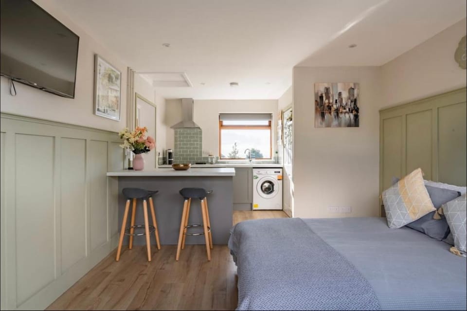 Seaview 1 bed open condo - free parking Apartment in Brighton