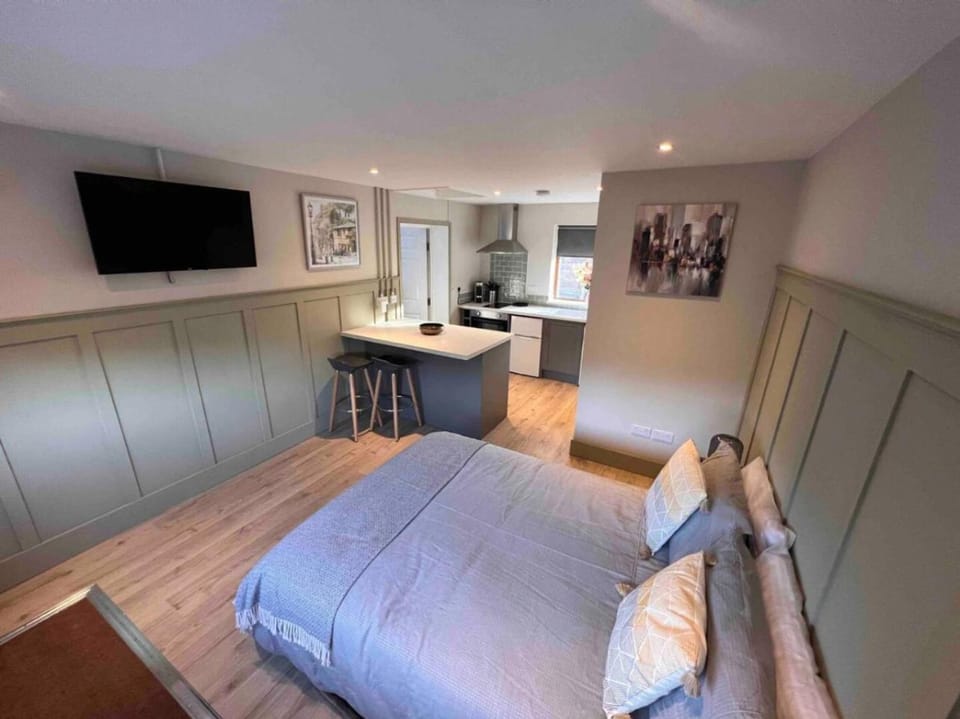 Seaview 1 bed open condo - free parking Apartment in Brighton