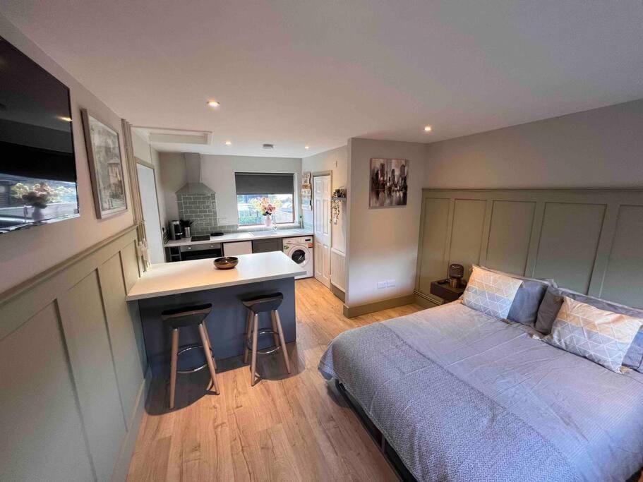 Seaview 1 bed open condo - free parking Apartment in Brighton
