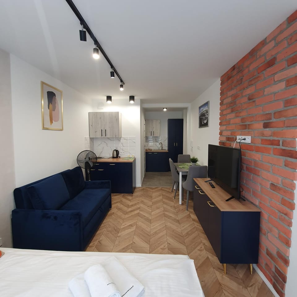 Bed, TV and multimedia, Coffee/tea facilities, Kitchen or kitchenette, Living room, Photo of the whole room, Seating area, Bedroom, internet, stove