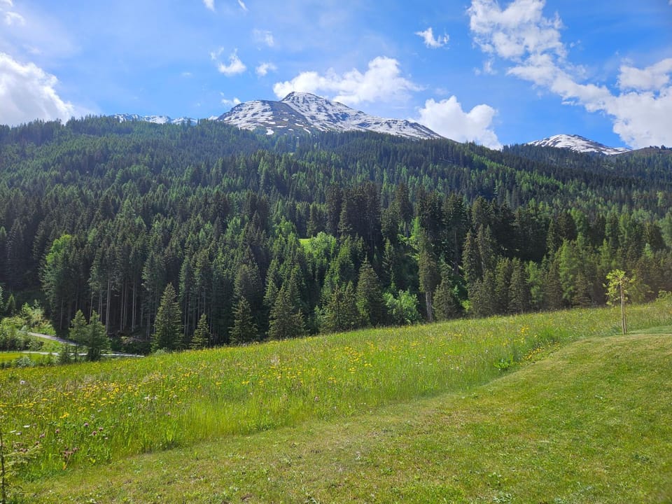 Appartement FloPi Apartment in Saint Anton am Arlberg