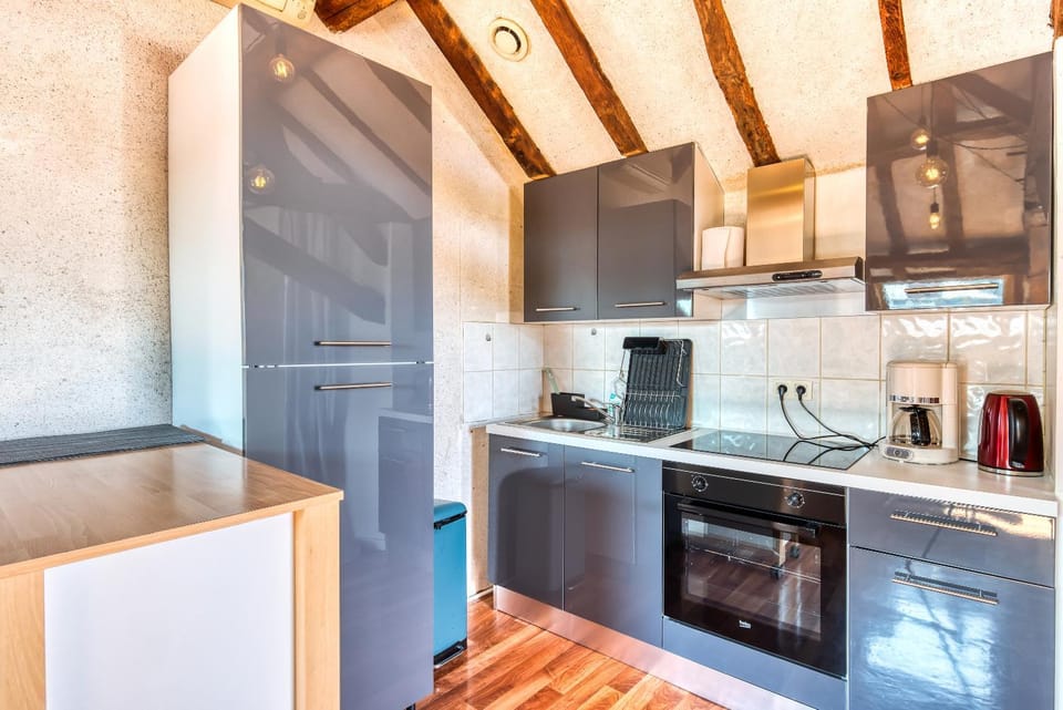 Sous les toits vue LOIRE Apartment in Pays de la Loire