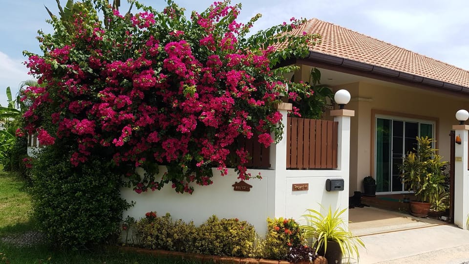 Property building, Day, Garden