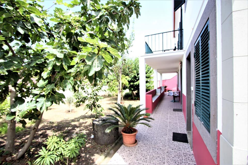 Patio, Garden, Garden view