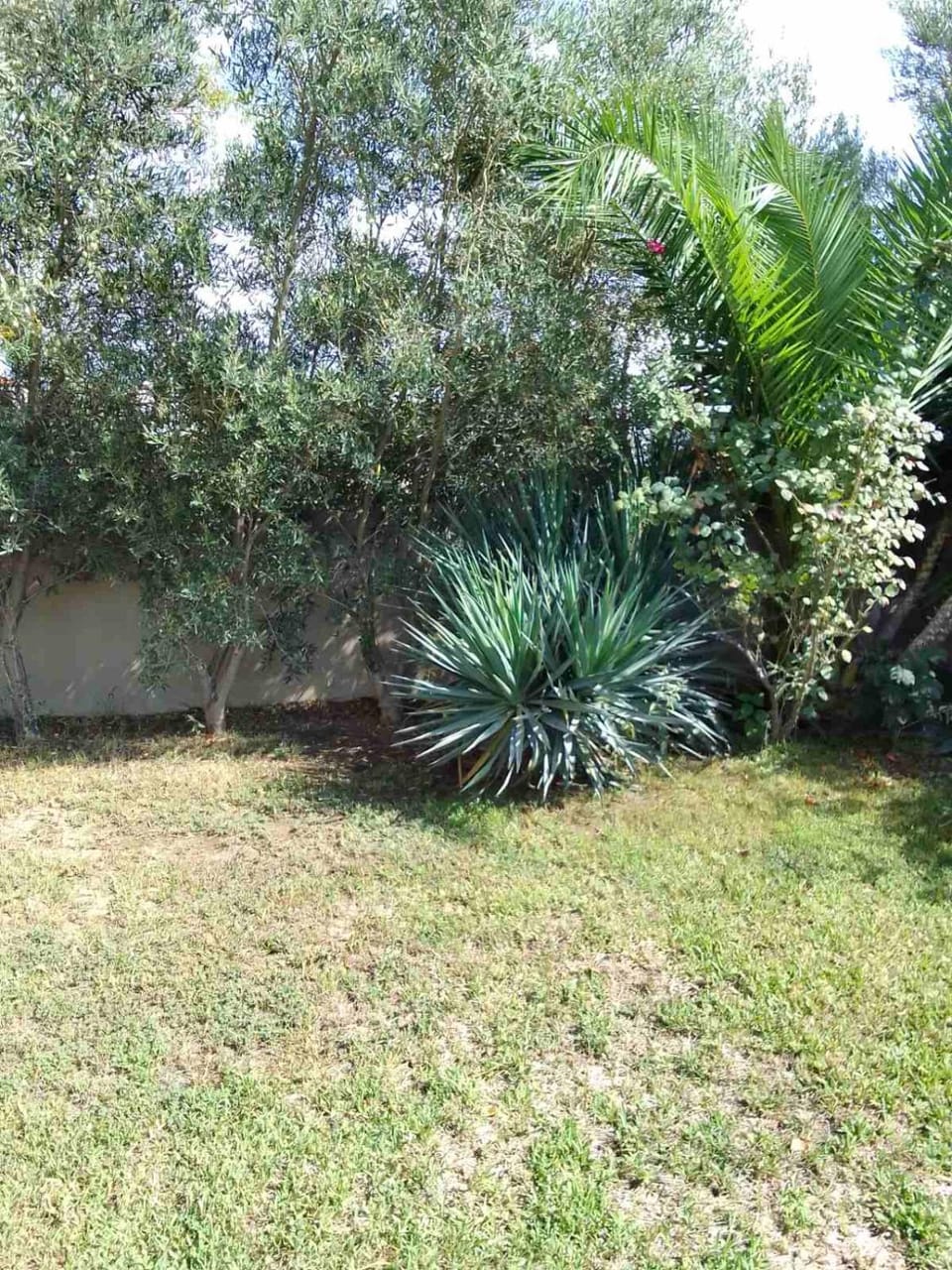 Palm Garden apartment Apartment in Nikiti
