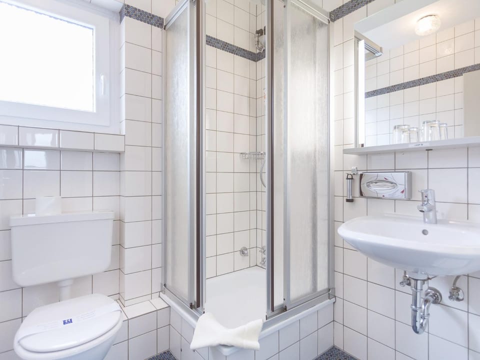 Shower, Toilet, Decorative detail