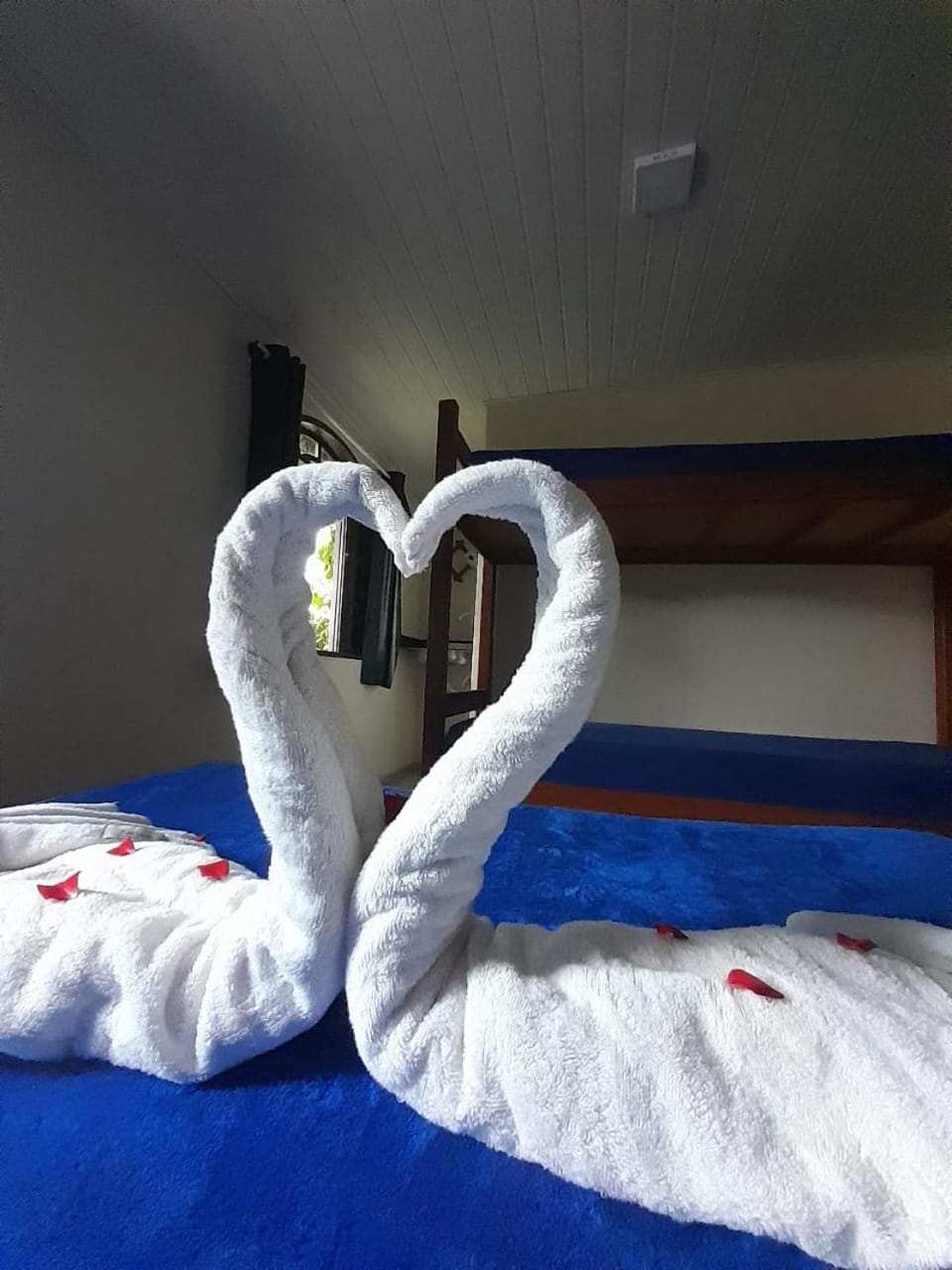 Bed, Photo of the whole room, Bedroom, bunk bed, towels