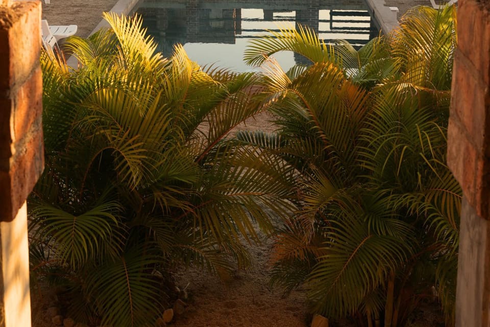 Cerritos Baja Eco Pet Friendly Boutique stay Nature lodge in Baja California Sur