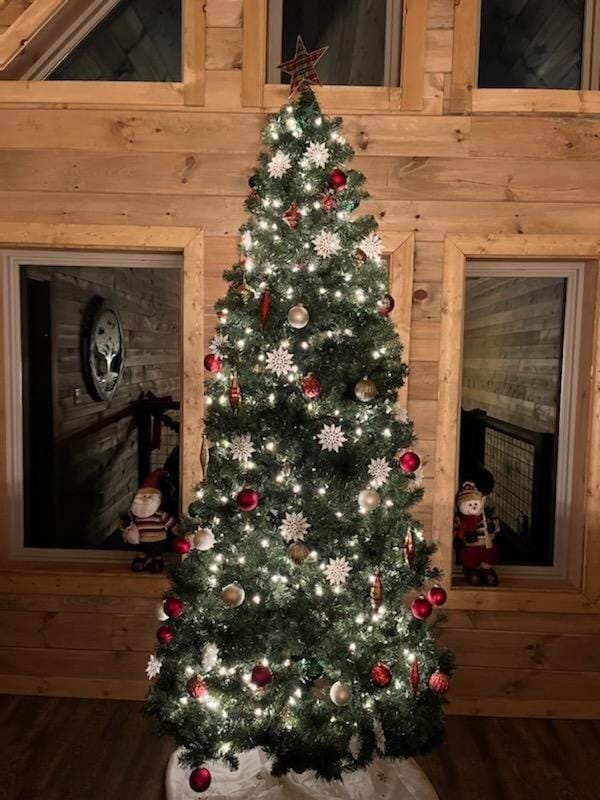 Victoria's Secrets cabin Cabin in Sevier County
