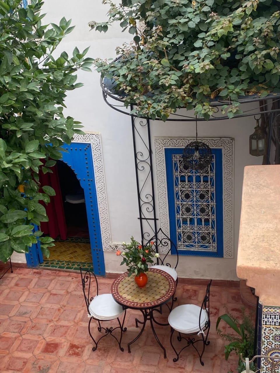 Patio, Garden, Dining area