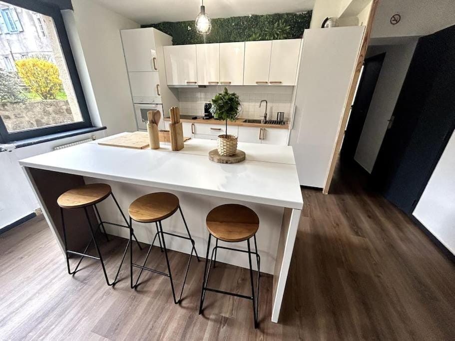 Le Puy en Velay - Appartement grand confort Apartment in Auvergne-Rhône-Alpes