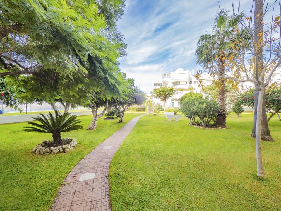 Patio, Garden, Garden view