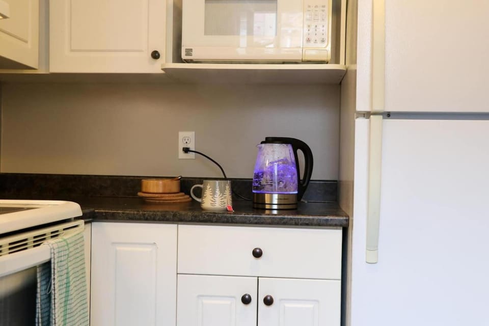 Hiltz House Cellar Suite Near Halifax Ferry Apartment in Dartmouth