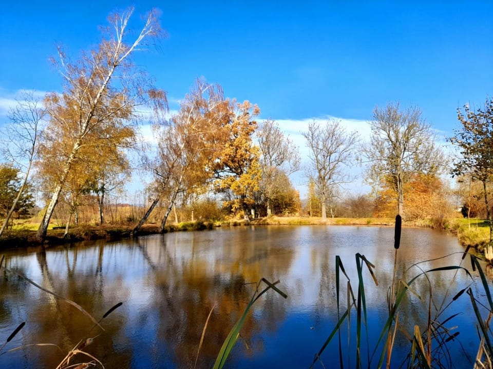 Natural landscape