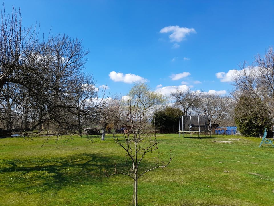 Natural landscape, Garden