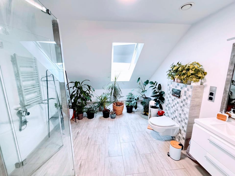 Shower, Bathroom, towels