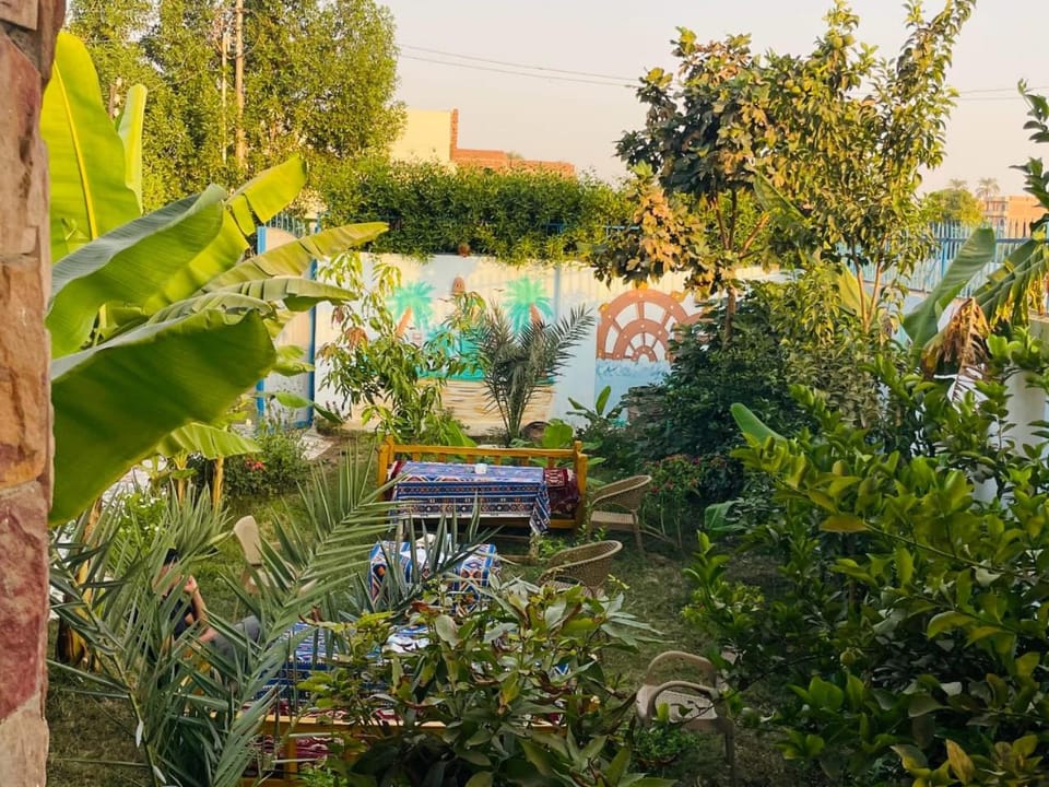 Noby Guest House Apartment in Luxor Governorate
