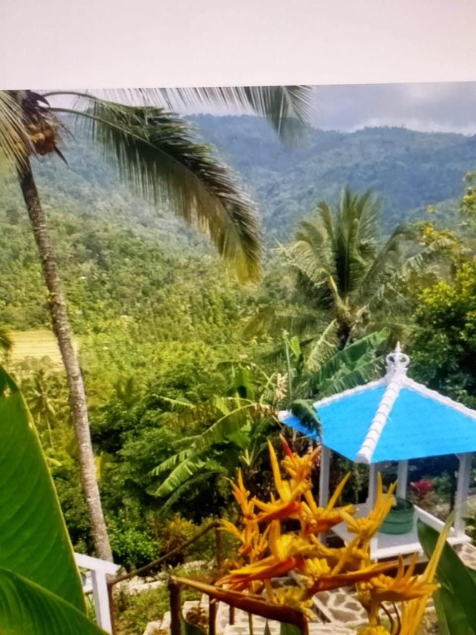 Natural landscape, Garden view, Mountain view