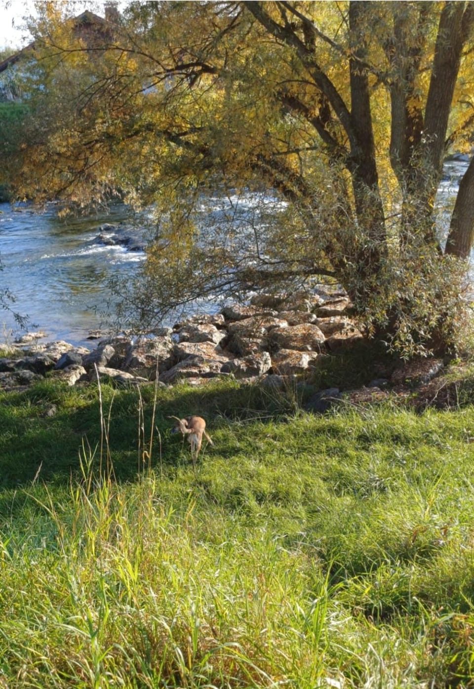 Fewo Mangfalltal - Wohnen direkt am Fluss nahe München Apartment in Bavaria