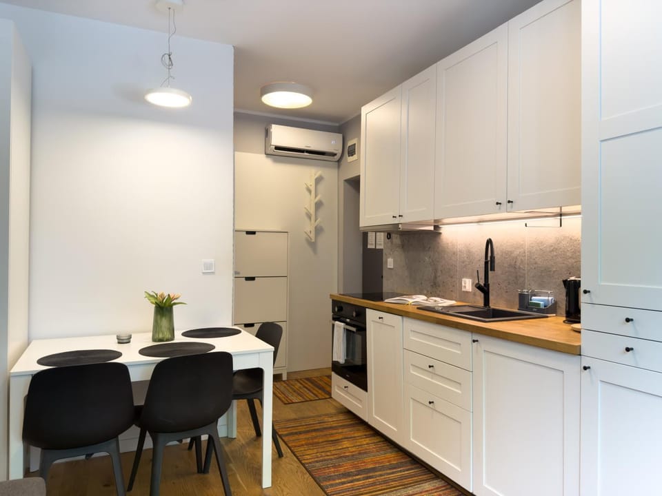 URBAN APARTMENTS STUDIO No 3A - Air Condition - Garden - Free parking Apartment in Poland