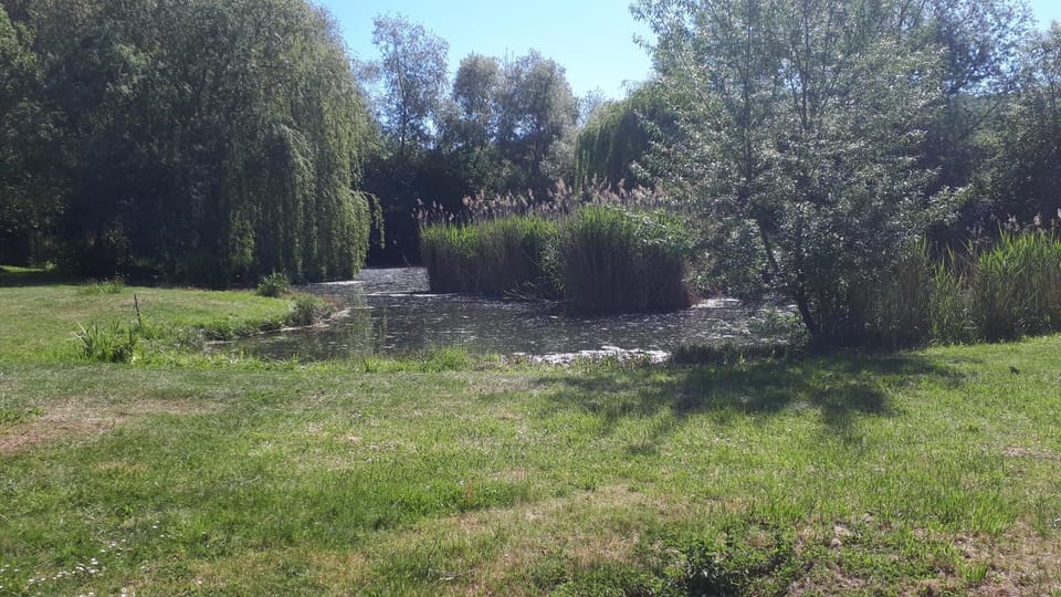 Garden, Garden view