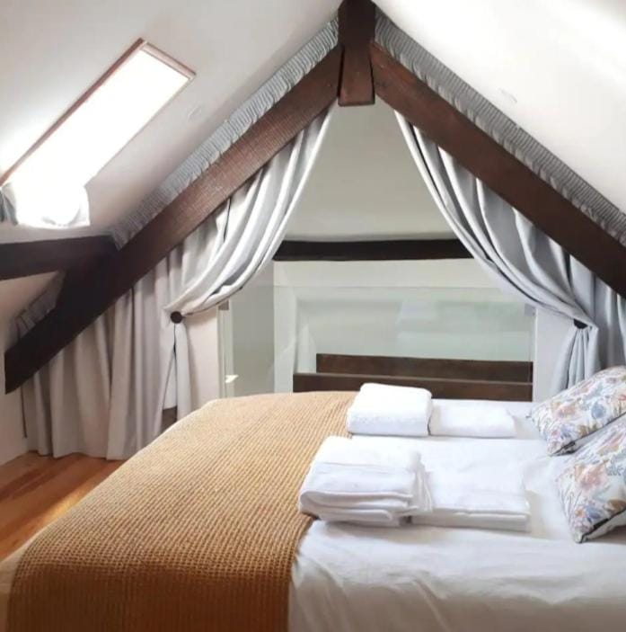 Ficus Benjamina Apartment in Aveiro