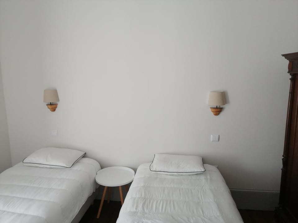 Ficus Benjamina Apartment in Aveiro