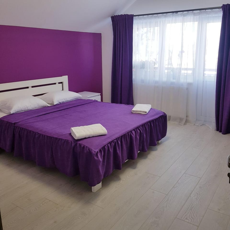 Andrhouse Apartment in Romania