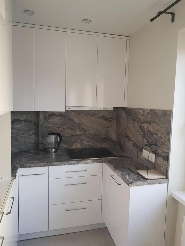 Daukanto Apartment for You Apartment in Klaipėda