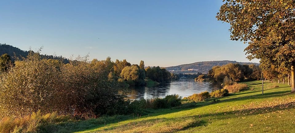 Natural landscape, River view