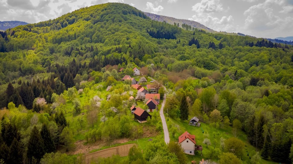 Holiday House Pečišće Apartment in Primorje-Gorski Kotar County
