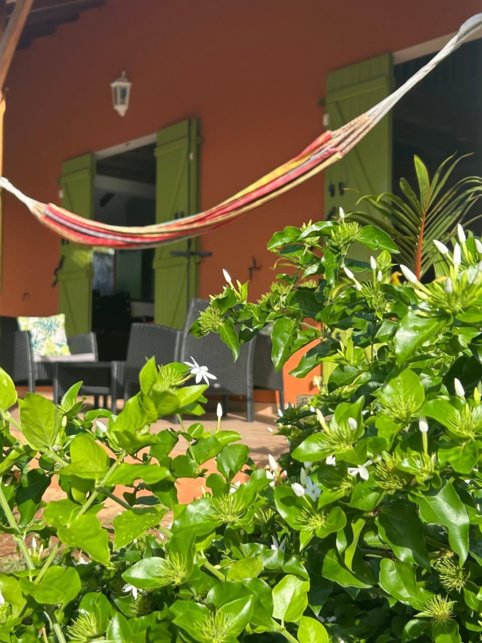 Balcony/Terrace