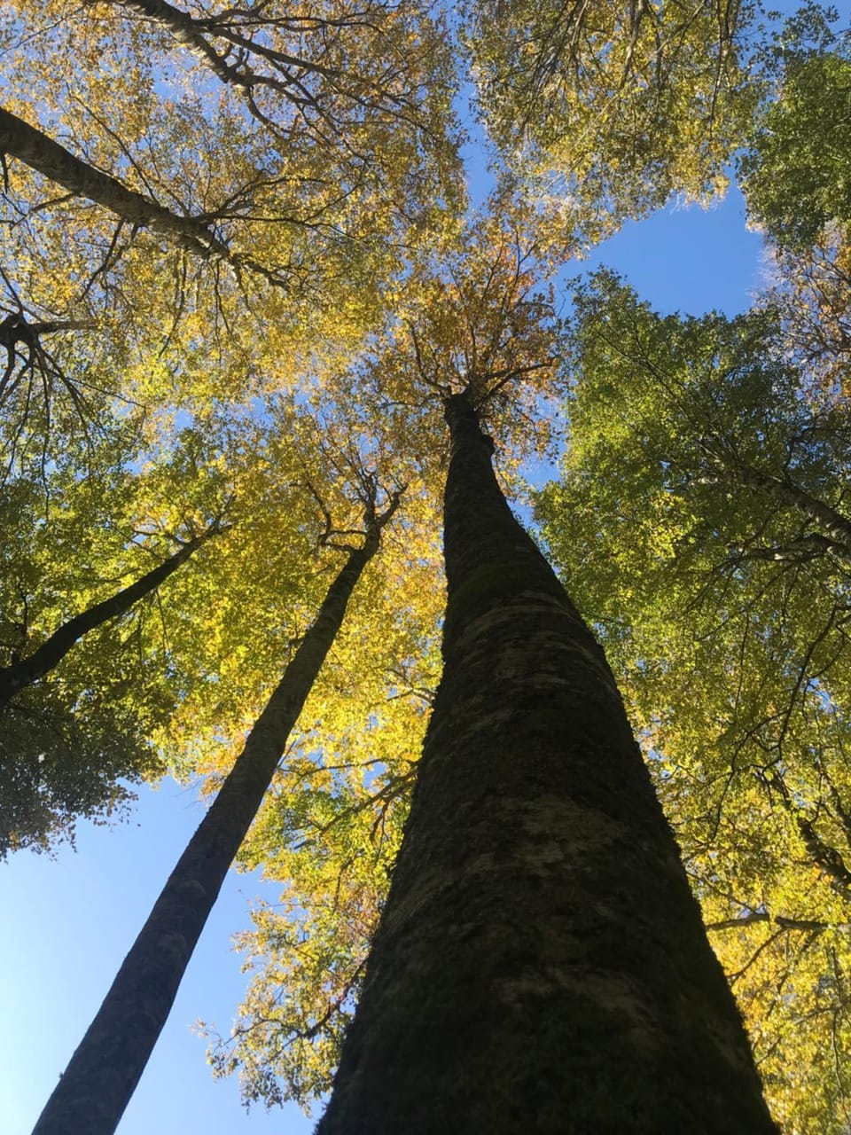 Nearby landmark, Natural landscape
