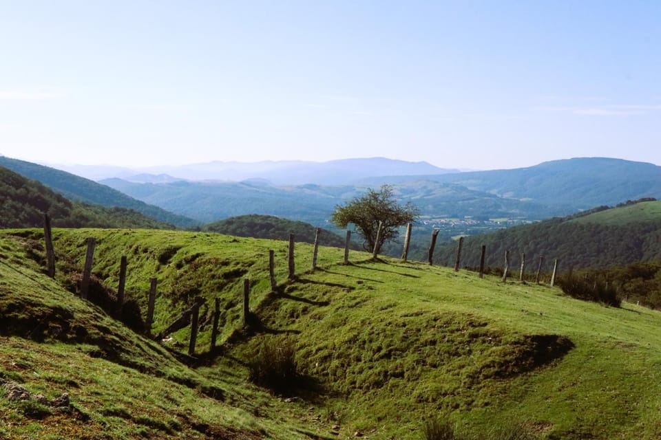 Nearby landmark, Natural landscape, Summer, Mountain view