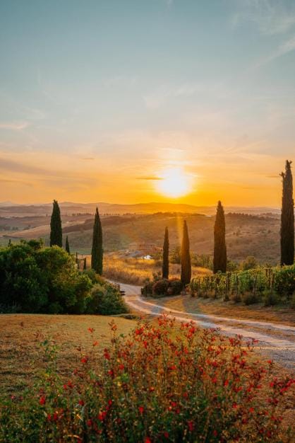 MYRTUS PODERE CUNINA Apartment in Tuscany