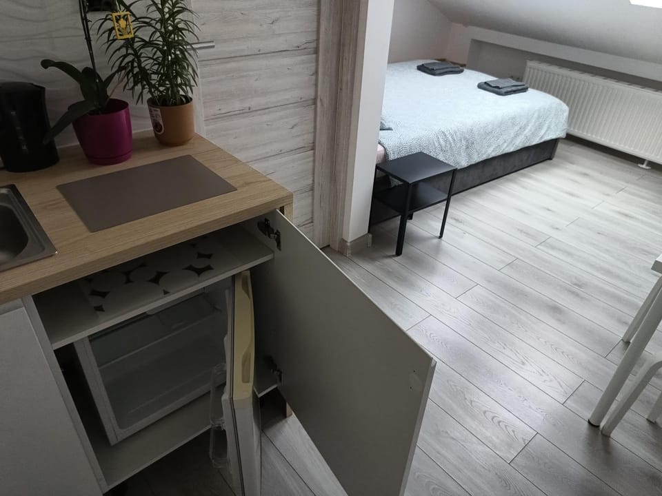 Bed, Kitchen or kitchenette, Photo of the whole room, Bedroom