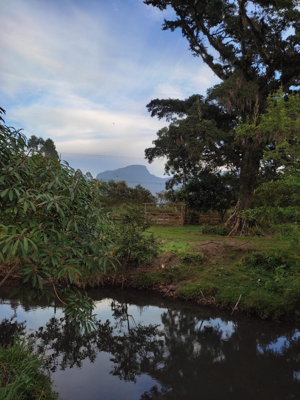 Natural landscape