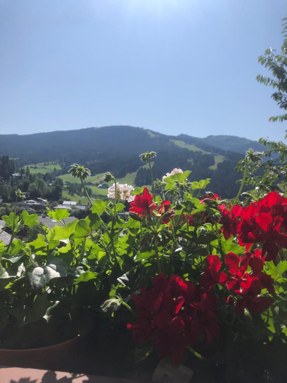 View (from property/room)