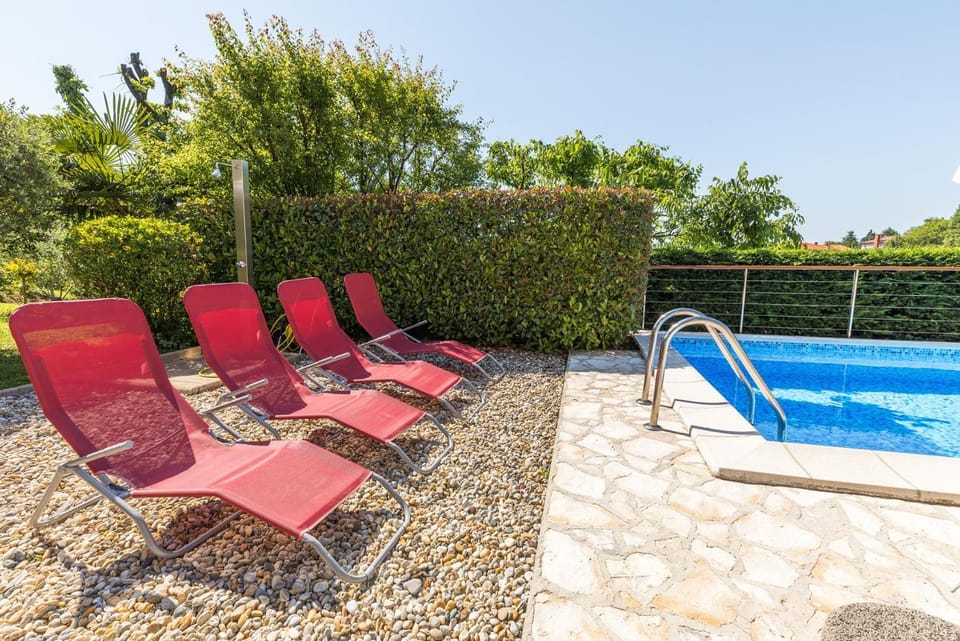 Garden, Swimming pool, sunbed
