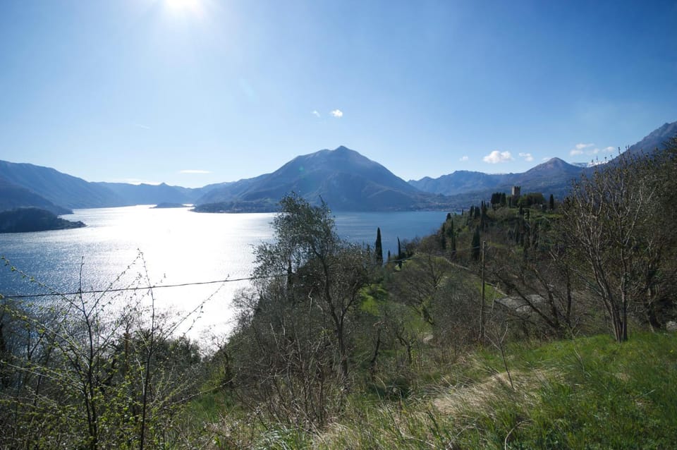 Lake view