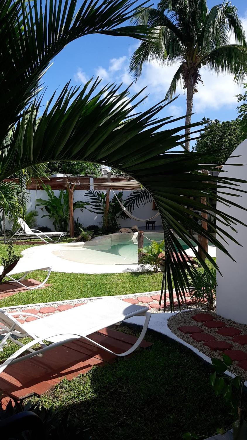 Garden, Garden, Garden view, Swimming pool