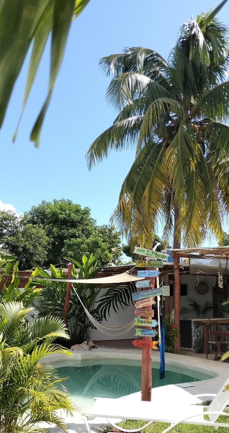 Pool view, Swimming pool