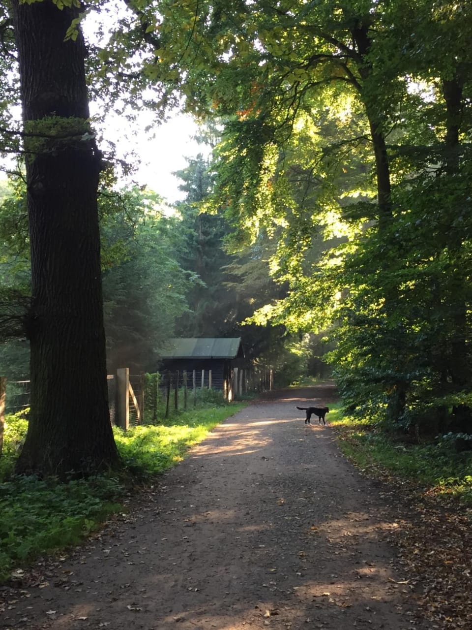 Nearby landmark, Neighbourhood