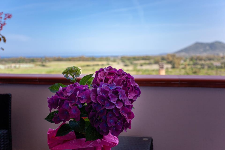 Suite Maya Apartment in Sardinia