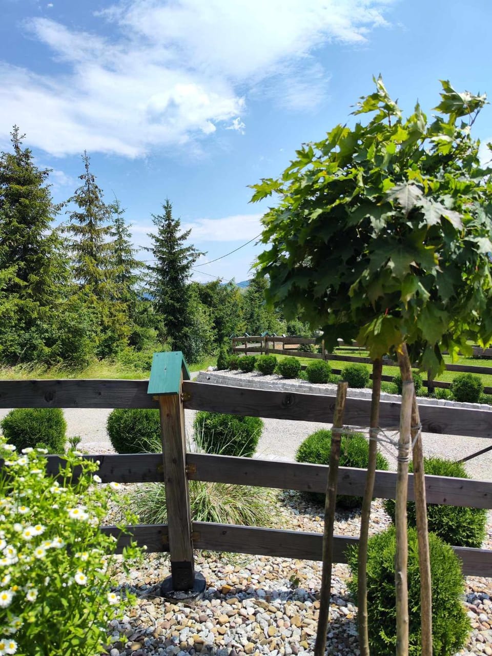 Natural landscape, Garden, Garden view
